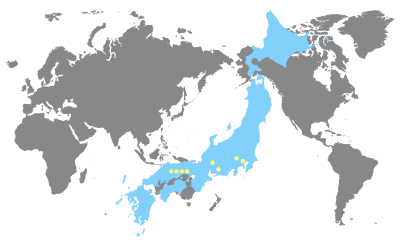 多様な生産拠点を背景としたネットワーク